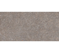 Belgravia Grey Matt 60x120
