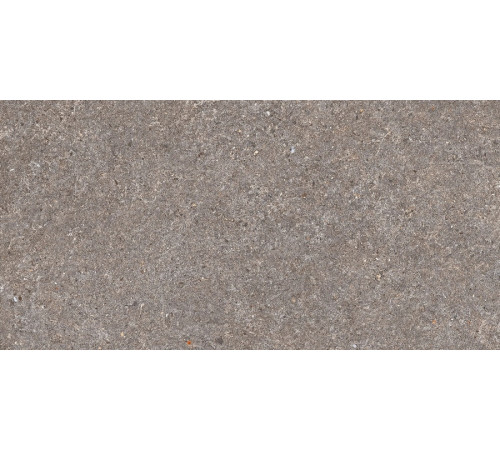 Belgravia Grey Matt 60x120