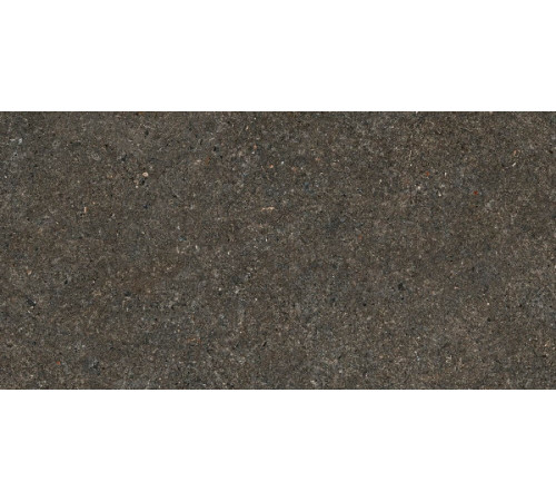 Belgravia Anthracite Matt 60x120