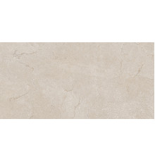 Domus Cream Matt 60x120