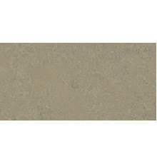 Fireclay Beige Natural 50x100