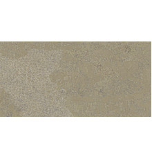 Fireclay Beige Stamp Natural 50x100
