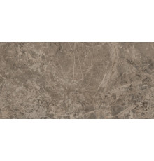 Виктори Тайп 60x120