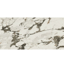Аллюр Капр. Лап 60x120