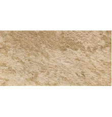 Walks 1.0 Beige Nat.60x120