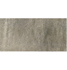 Walks 1.0 Gray Soft 60x120