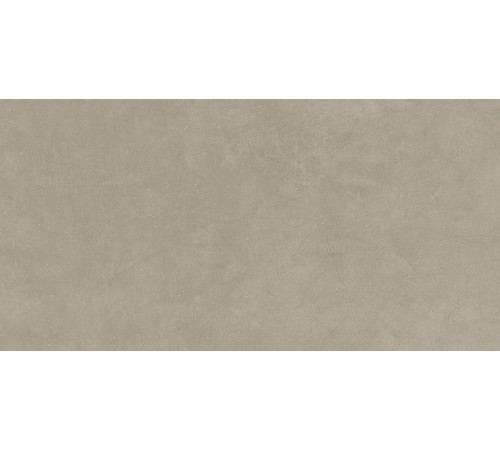 Industrial Taupe 6 Mm 60x120