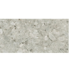 Timeless Ceppo Di Gre Lucido 30x60