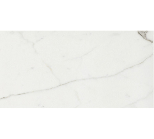 Timeless Calacatta Lucido 30x60