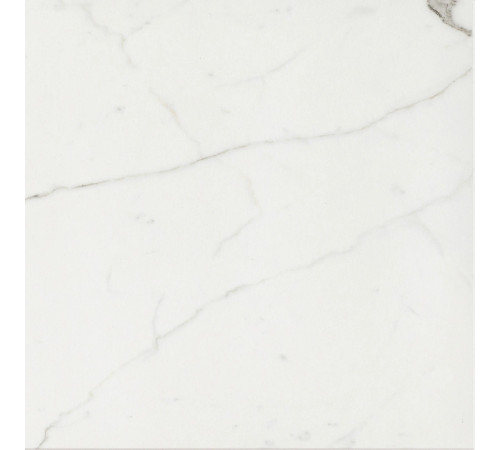 Timeless Calacatta Nat 60x60