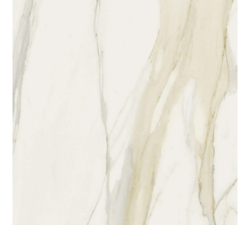 I Classici Cal.Gold 6mm Glossy 120x120