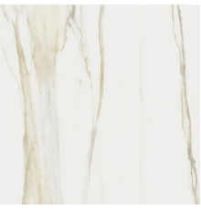 I Classici Calacata Gold Glossy 60x60