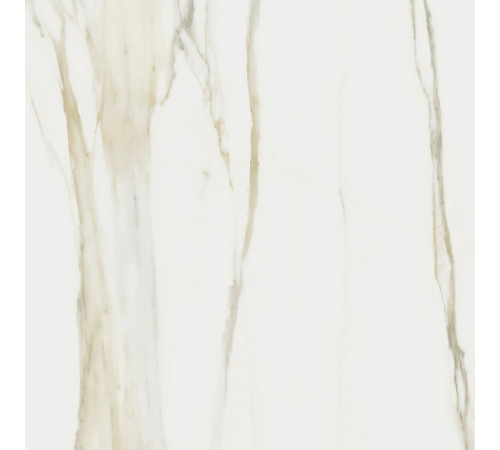 I Classici Calacata Gold Glossy 60x60