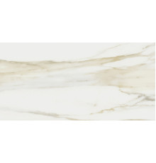 I Classici Di Rex Cal.Gold Matte 30x60