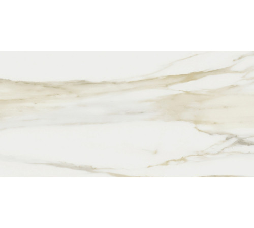 I Classici Di Rex Cal.Gold Matte 30x60