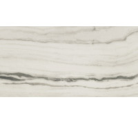 Prexious Rex White Fantasy Glossy 60x120
