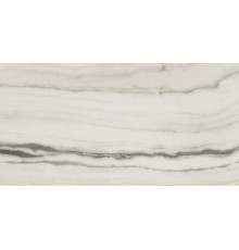 Prexious Rex White Fantasy Glossy 60x120