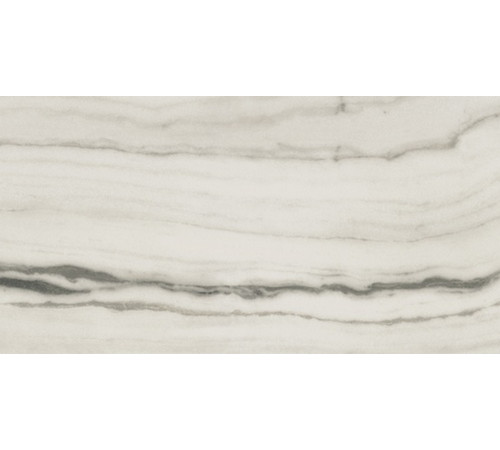 Prexious Rex White Fantasy Glossy 60x120