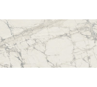 Prexious Rex Mountain Treasure Glossy 60x120