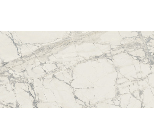 Prexious Rex Mountain Treasure Glossy 60x120