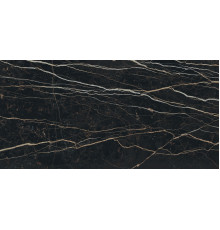 Prexious Rex Thunder Night Glossy 60x120