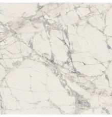 Prexious Rex Mountain Treasure Glo 60x60