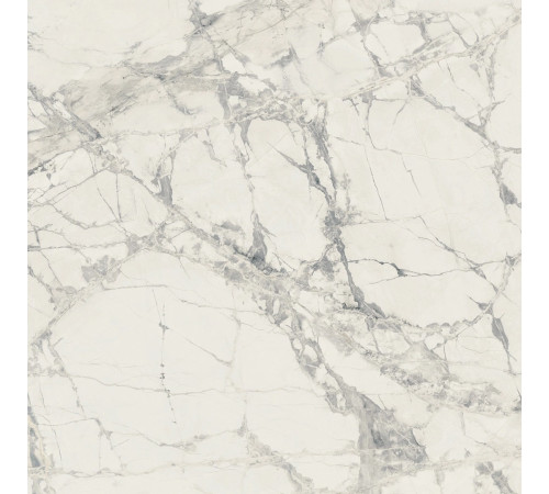 Prexious Rex Mountain Treasure Glo 60x60