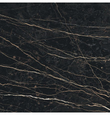 Prexious Rex Thunder Night Glo 60x60