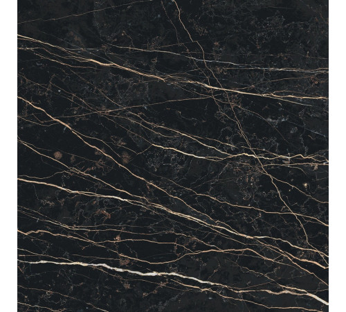 Prexious Rex Thunder Night Glo 60x60