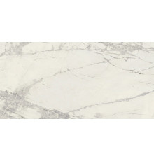 Prexious Rex Mountaintreasure Ma T30x60