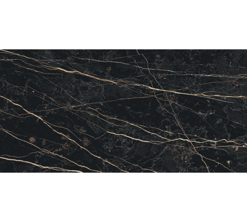 Prexious Rex Thunder Night Glo 30x60