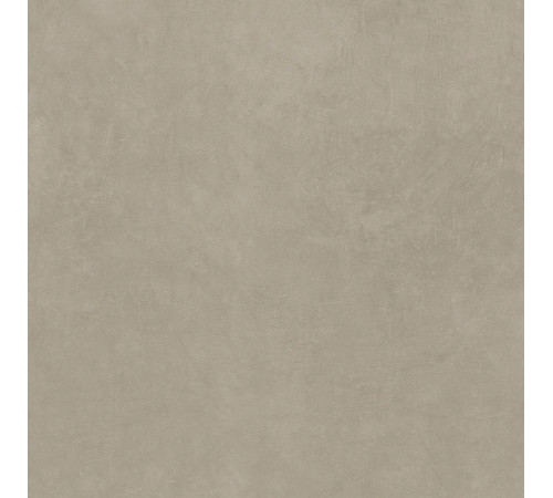 Industrial Taupe 6 Mm R+Ptv 120x120