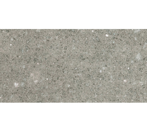 Stontech 4.0 Stone 04 R+Ptv 60x120