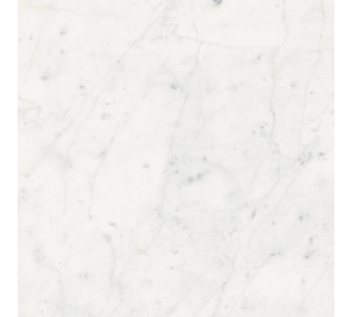 Stontech 4.0 Stone 01 High-Glossy 80x80