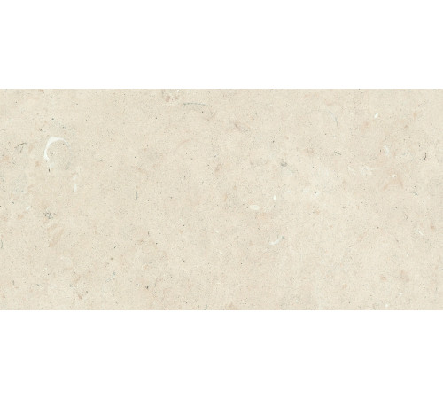 Stontech 4.0 Stone 02 R+Ptv 30x60