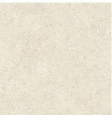 Stontech 4.0 Stone 02 Nat 6 Mm 120x120