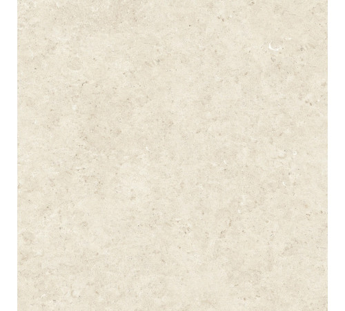 Stontech 4.0 Stone 02 Nat 6 Mm 120x120