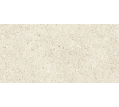 Stontech 4.0 Stone 02 Nat 6 Mm 60x120