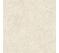 Stontech 4.0 Stone 02 R+Ptv 6 Mm 120x120