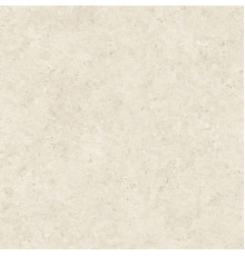 Stontech 4.0 Stone 02 R+Ptv 6 Mm 120x120