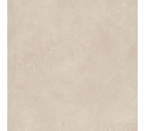 Buildtech 2.0 Ce Bone+Ptv 60x60