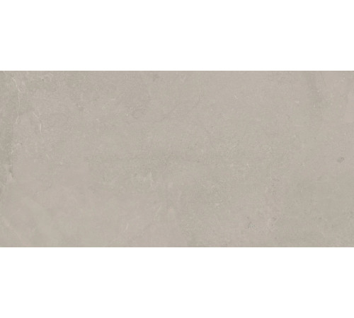 Elemental Stone Grey Limestone Lucido 60x120