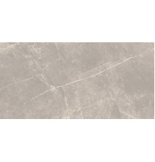 Elemental Stone Grey Dolomia Lucido 60x120