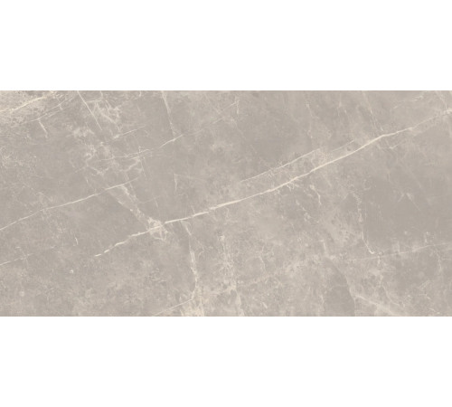 Elemental Stone Grey Dolomia Lucido 60x120