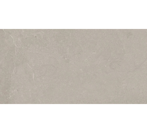 Elemental Stone Grey Limestone Lucido 30x60