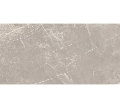 Elemental Stone Grey Dolomia Lucido 30x60