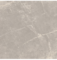 Elemental Stone Grey Dolomia Nat 60x60