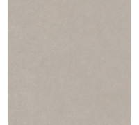 Elemental Stone Grey Sandstone Lucido 60x60