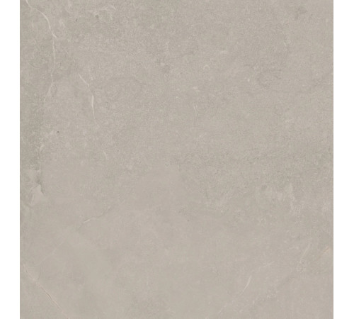 Elemental Stone Grey Limestone Lucido 60x60