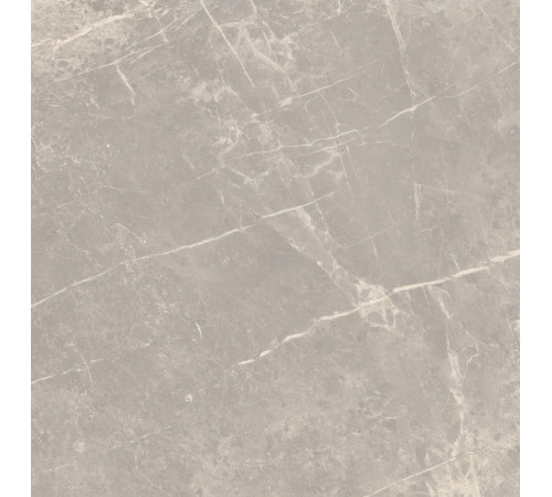 Elemental Stone Grey Dolomia Lucido 60x60